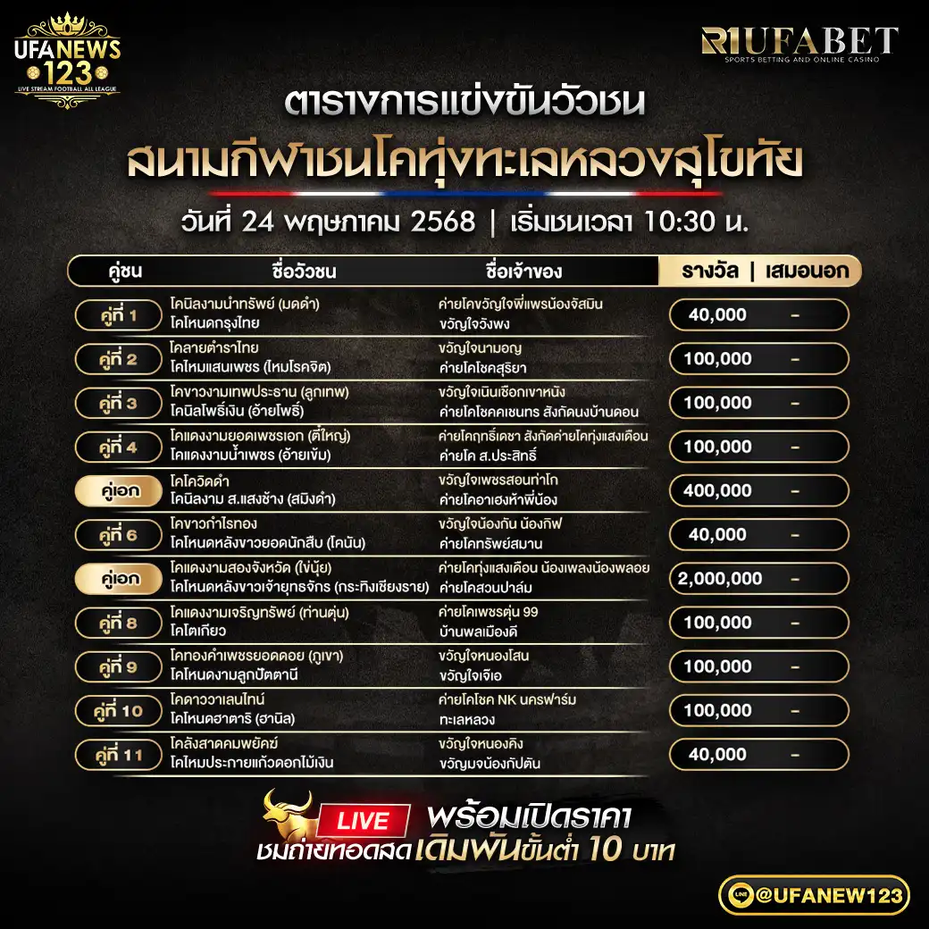 โปรแกรมวัวชน สนามชนโคทุ่งทะเลหลวงสุโขทัย เริ่มชนเวลา 10.30 น. 24 พฤษภาคม 2568