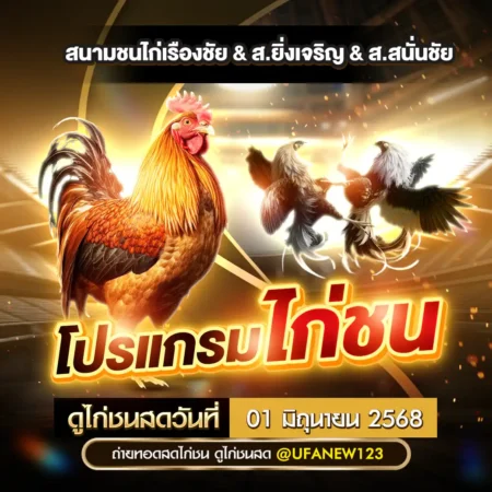 โปรแกรมไก่ชน 01 มิถุนายน 2568