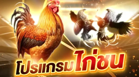 โปรแกรมไก่ชน 05 พฤษภาคม 2568
