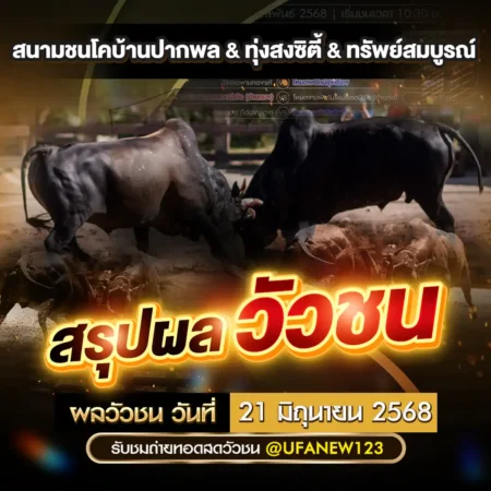 ผลวัวชน 21 มิถุนายน 2568