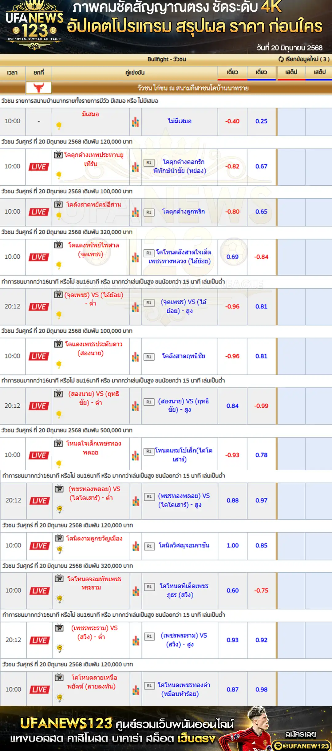ราคาวัวชน สนามกีฬาชนโคบ้านนาทราย เริ่มเวลา 10:00 น. 20 มิถุนายน 2568