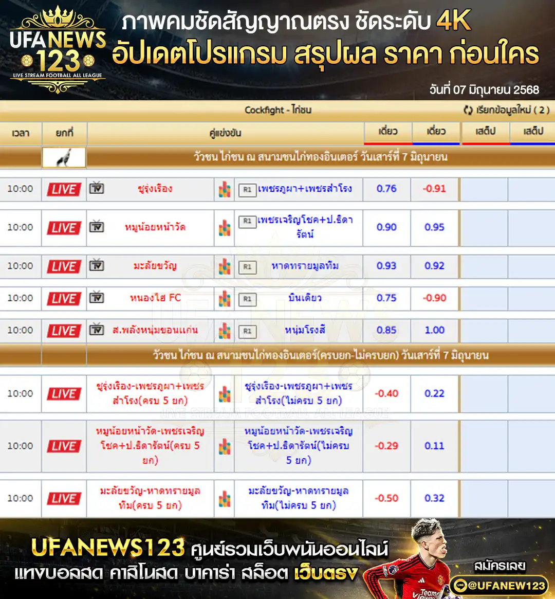 ราคาไก่ชน สนามชนไก่ทองอินเตอร์ เริ่มเวลา 10:00 น. 07 มิถุนายน 2568