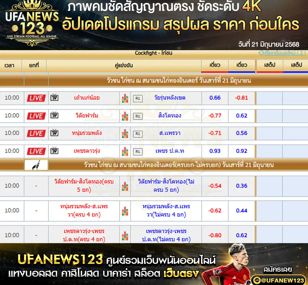ราคาไก่ชน สนามชนไก่ทองอินเตอร์ เริ่มเวลา 10:00 น. 21 มิถุนายน 2568