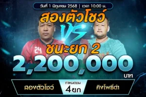 เทปไก่ชน สองตัวโชว์ VS คิงโพธิ์ดำ 01 มิถุนายน 2568