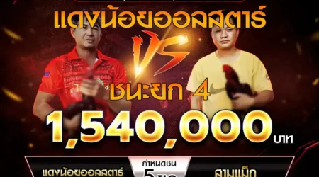 เทปไก่ชน แดงน้องออลสตาร์ VS สามแม็ก 03 มิถุนายน 2568