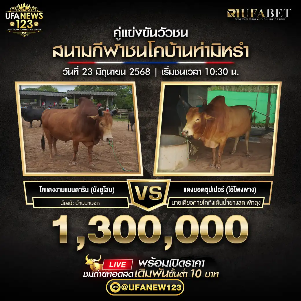 แดงยอดซุปเปอร์ (ไอ้โพงพาง) VS โคแดงงามแมนดาริน (บังยูโสบ) ชิงรางวัล 1,300,000 บาท 23 มิถุนายน 2568