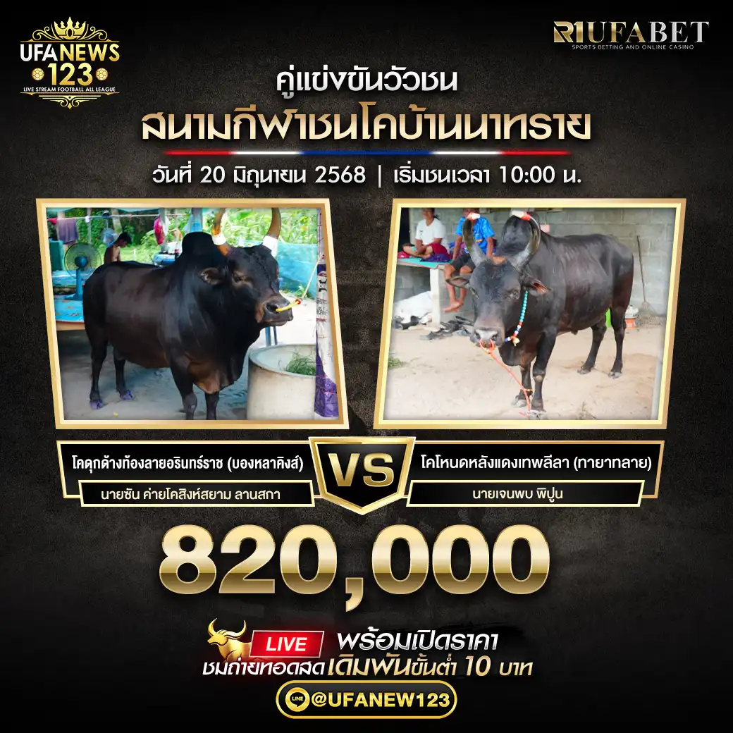 โคดุกด้างท้องลายอรินทร์ราช (บองหลาคิงส์) VS โคโหนดหลังแดงเทพลีลา (ทายาทลาย) ชิงรางวัล 820,000 บาท 20 มิถุนายน 2568