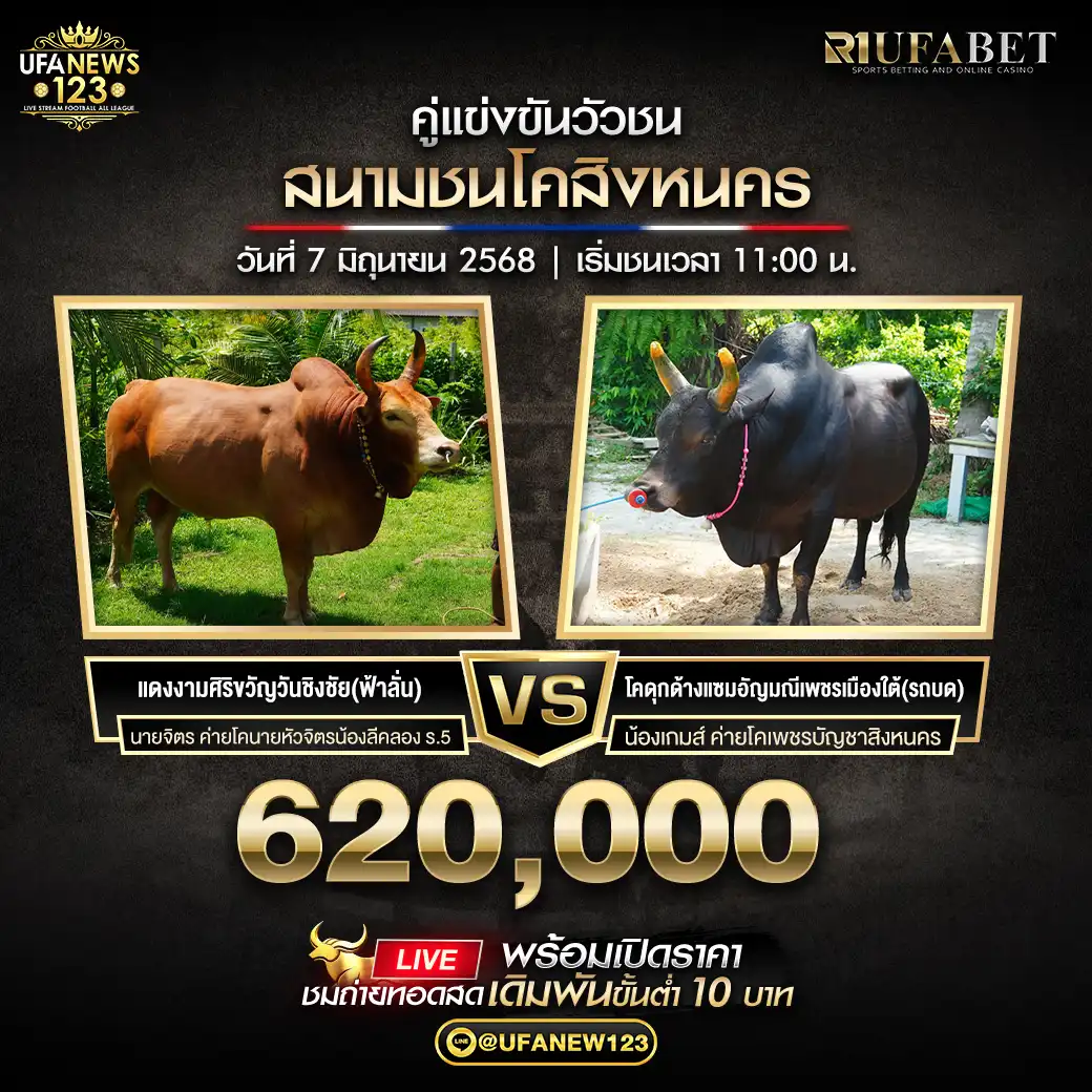 โคแดงงามศิริขวัญวันชิงชัย (ฟ้าลั่น) VS โคดุกด้างแซมอัญมณีเพชรเมืองใต้ (รถบด) ชิงรางวัล 620,000 บาท 07 มิถุนายน 2568
