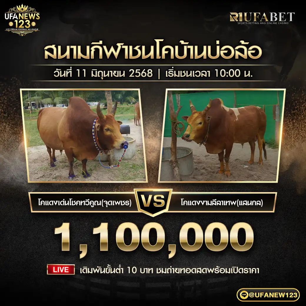 โคแดงเด่นโชคทวีคูณ (จุดเพชร) VS โคแดงงามลีลาเทพ (แสนกล) 11 มิถุนายน 2568