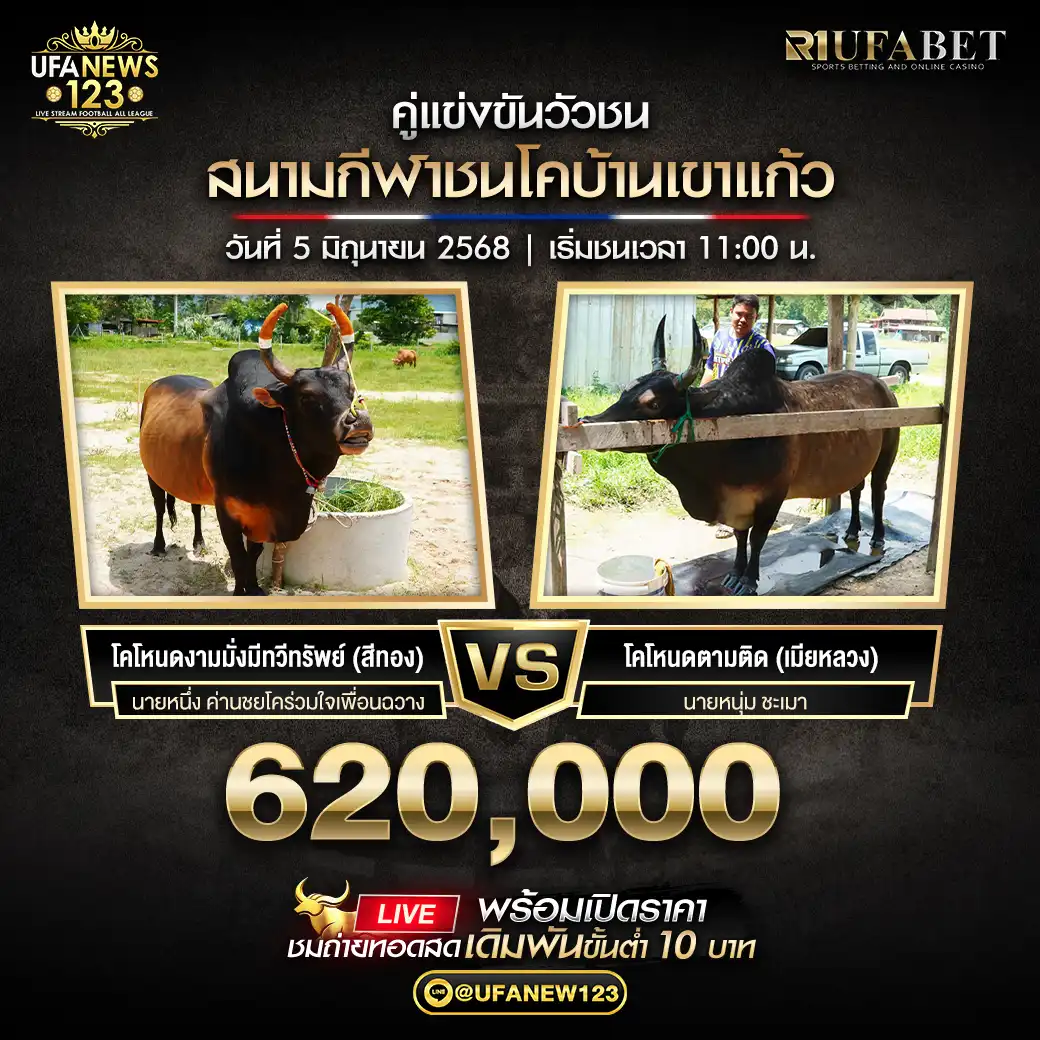 โคโหนดงามมั่งมีทวีทรัพย์ (สีทอง) VS โคโหนดตามติด (เมียหลวง) ชิงรางวัล 620,000 บาท  05 มิถุนายน 2568