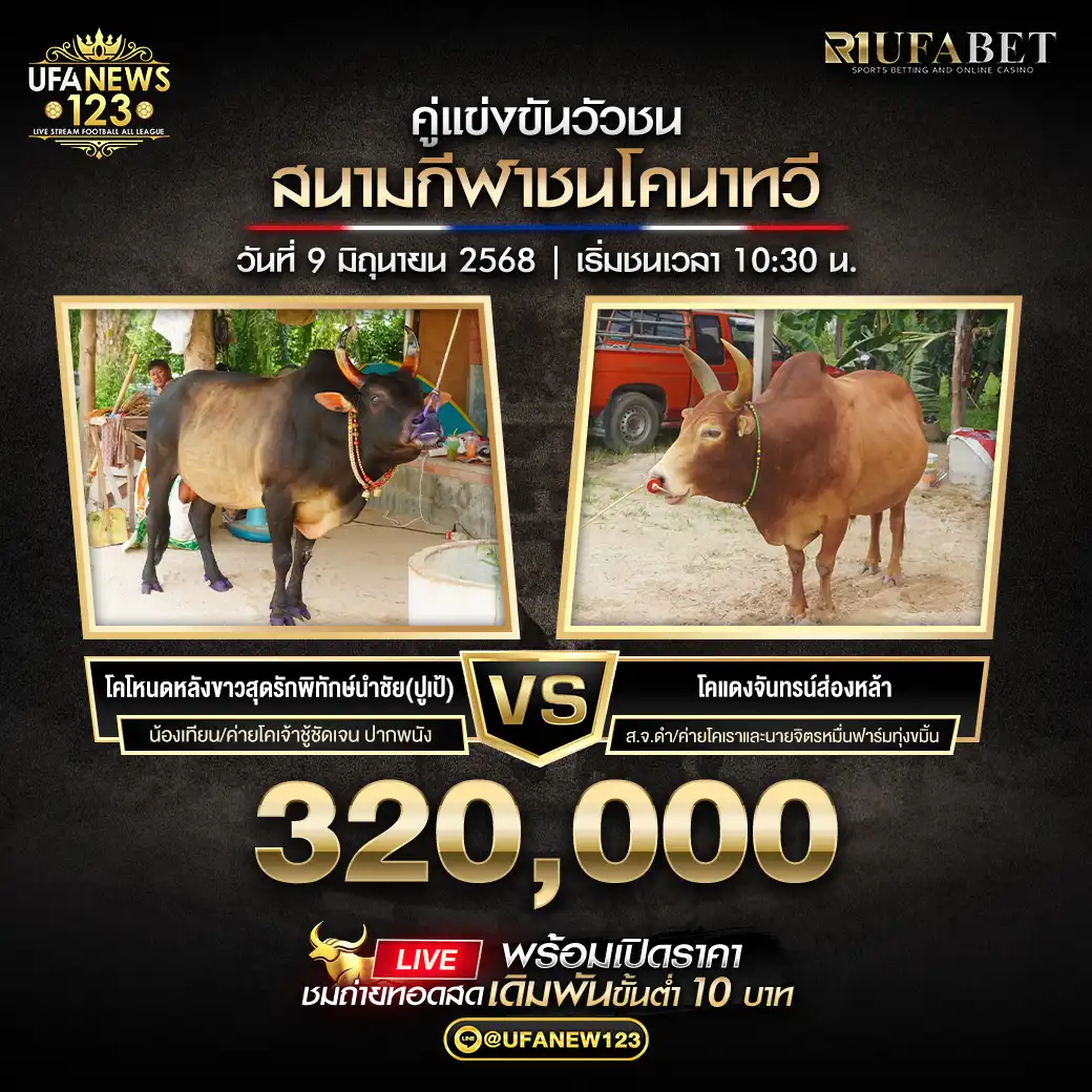 โคโหนดหลังขาวสุดรักพิทักษ์นำชัย (ปูเป้) VS โคแดงจันทน์ส่องหล้า ชิงรางวัล 320,000 บาท 09 มิถุนายน 2568