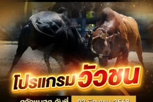 โปรแกรมวัวชน 02 มิถุนายน 2568
