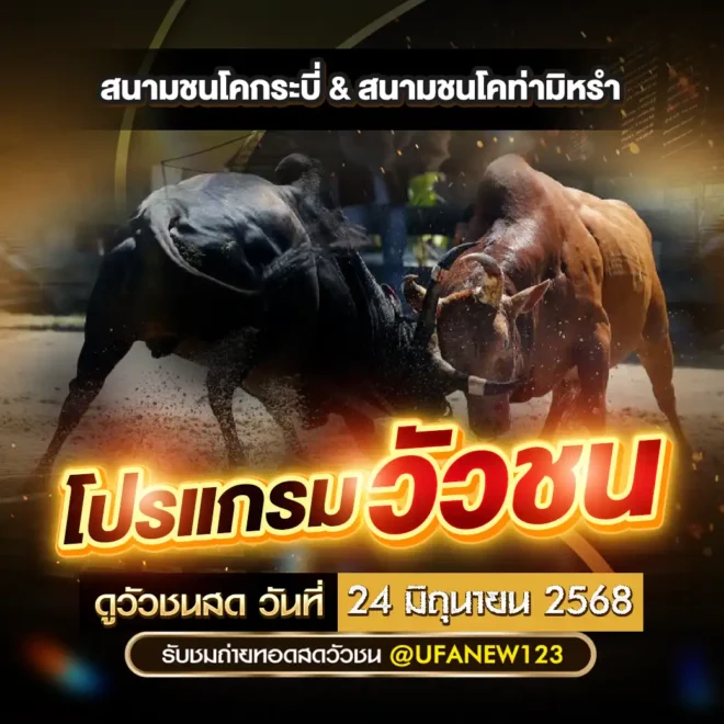 โปรแกรมวัวชน 24 มิถุนายน 2568
