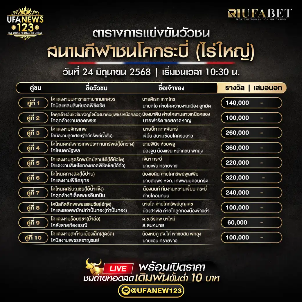 โปรแกรมวัวชน สนามกีฬาชนโคกระบี่ (ไร่ใหญ่) เริ่มเวลา 10:30 น. 24 มิถุนายน 2568