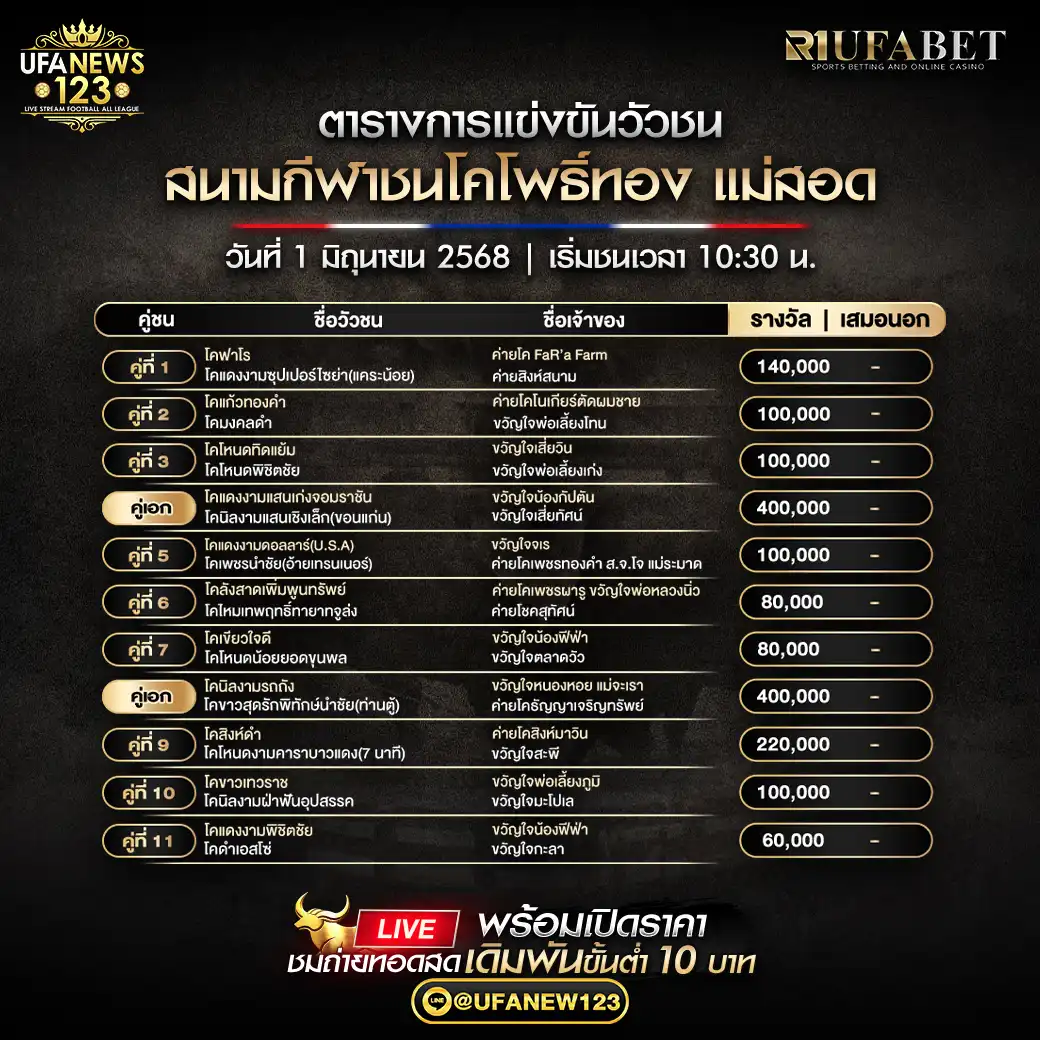 โปรแกรมวัวชน สนามกีฬาชนโคโพธิ์ทอง เริ่มเวลา 10:30 น. 01 มิถุนายน 2568