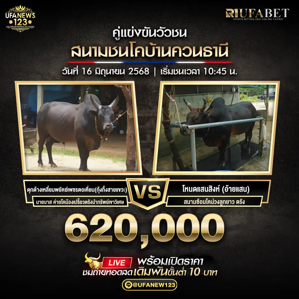 โหนดแสนสิงห์ ( อ้ายแสน) VS ดุกด้างเหลี่ยมพยัคฆ์เพชรตอเคี่ยม ( กุ้งกิ้งสายแขวะ) ชิงรางวัล 620,000 บาท 16 มิถุนายน 2568