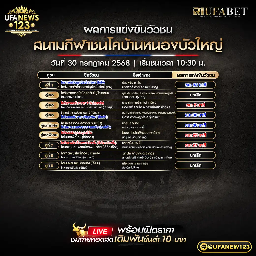 สรุปผลวัวชน สนามกีฬาชนโคบ้านหนองบัวใหญ่ 30 กรกฎาคม 2568