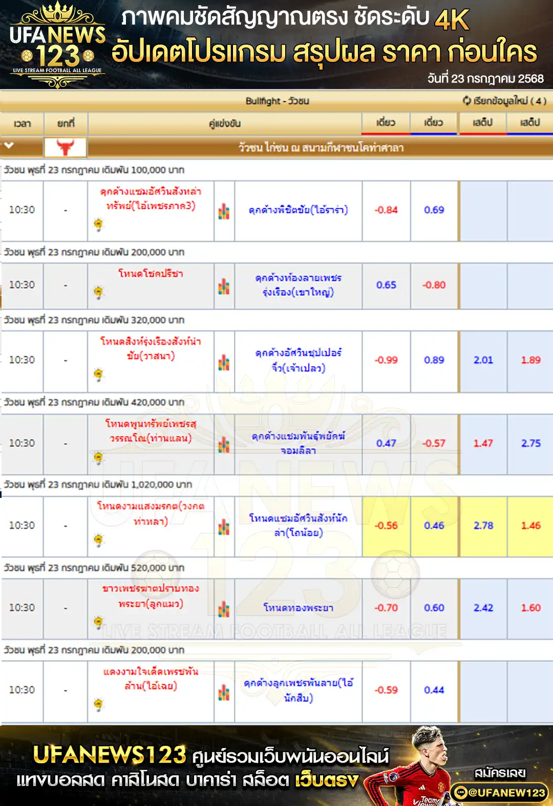 ราคาวัวชน สนามกีฬาชนโคท่าศาลา เริ่มเวลา 10:00 น. 23 กรกฎาคม 2568