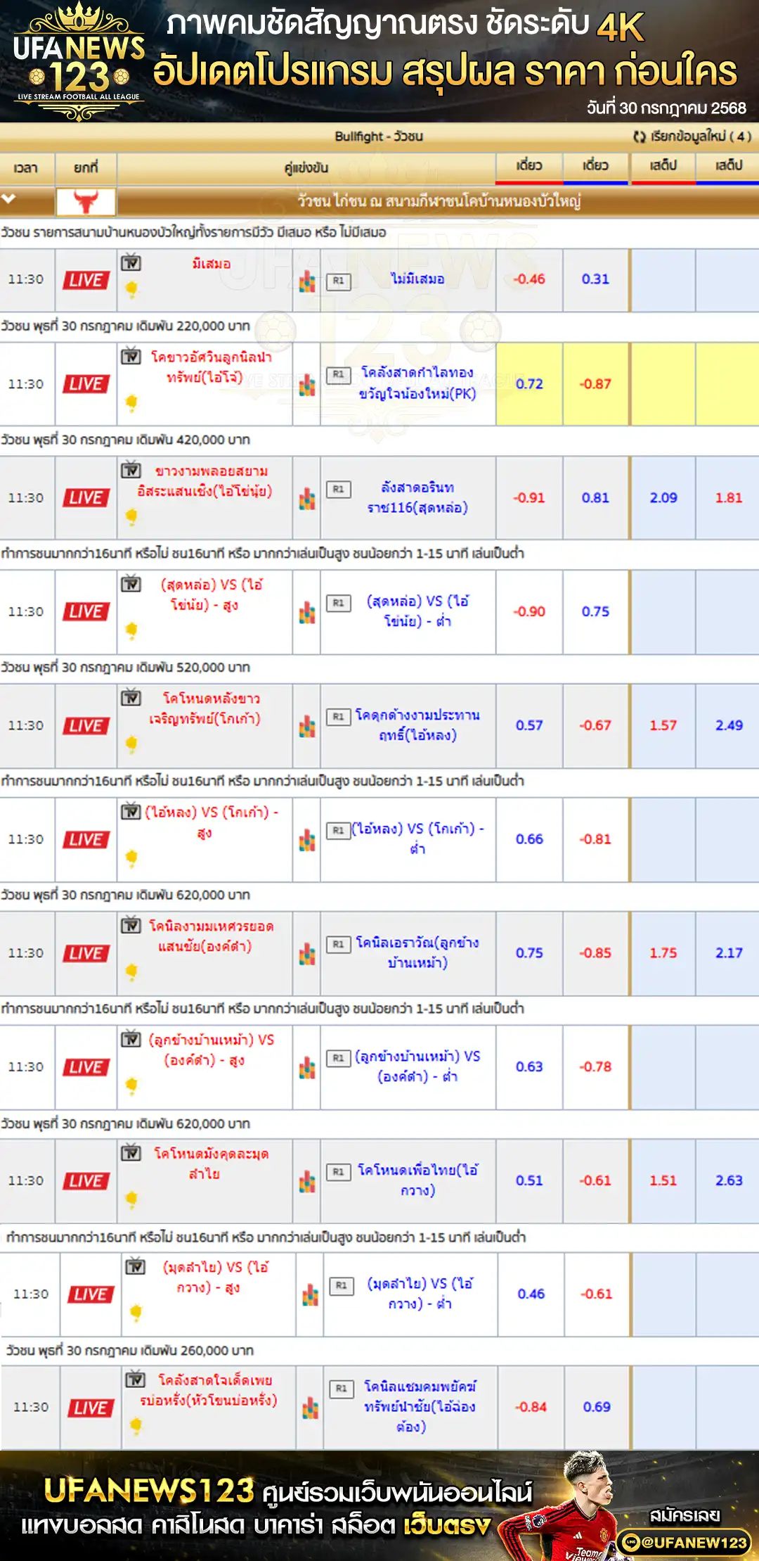 ราคาวัวชน สนามกีฬาชนโคบ้านหนองบัวใหญ่ เริ่มเวลา 10:30 น. 30 กรกฎาคม 2568