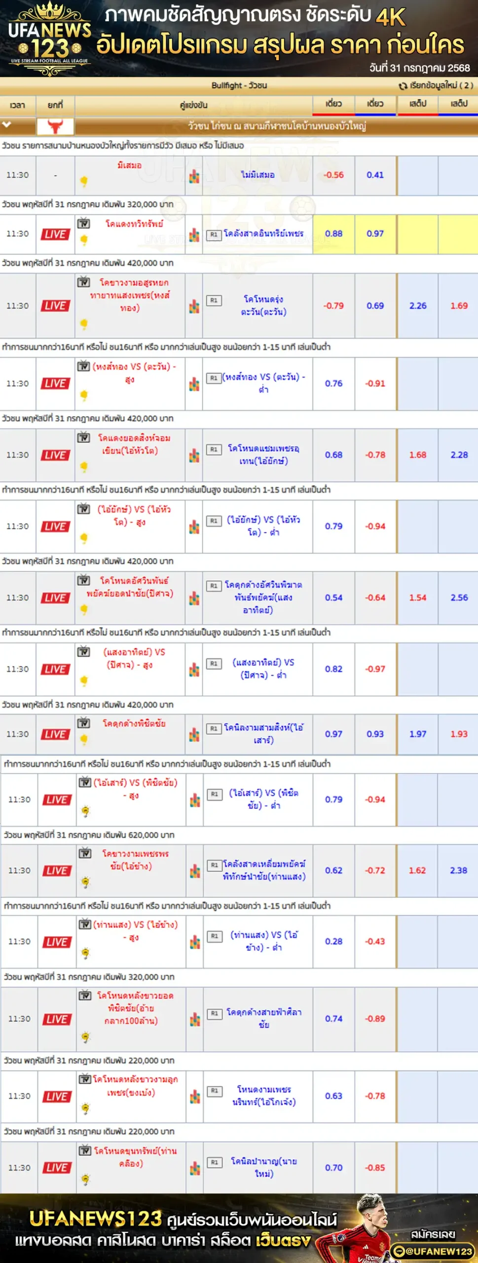 ราคาวัวชน สนามกีฬาชนโคบ้านหนองบัวใหญ่ | เริ่มเวลา 11:30 น. 31 กรกฎาคม 2568