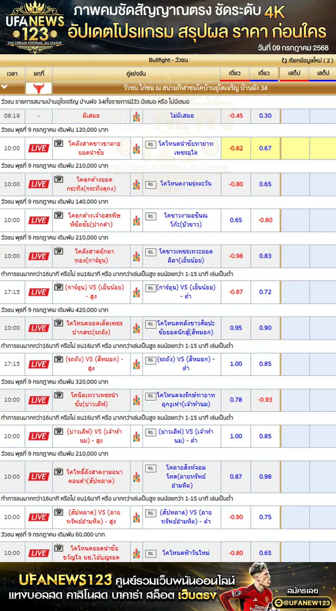 ราคาวัวชน สนามกีฬาชนโคบ้านอุใดเจริญ เริ่มเวลา 10:30 น. 09 กรกฎาคม 2568