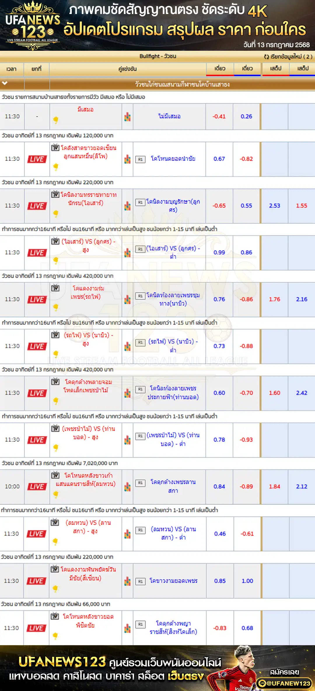 ราคาวัวชน สนามกีฬาชนโคบ้านเสาธงสเตเดี้ยม เริ่มเวลา 10:00 น. 13 กรกฎาคม 2568