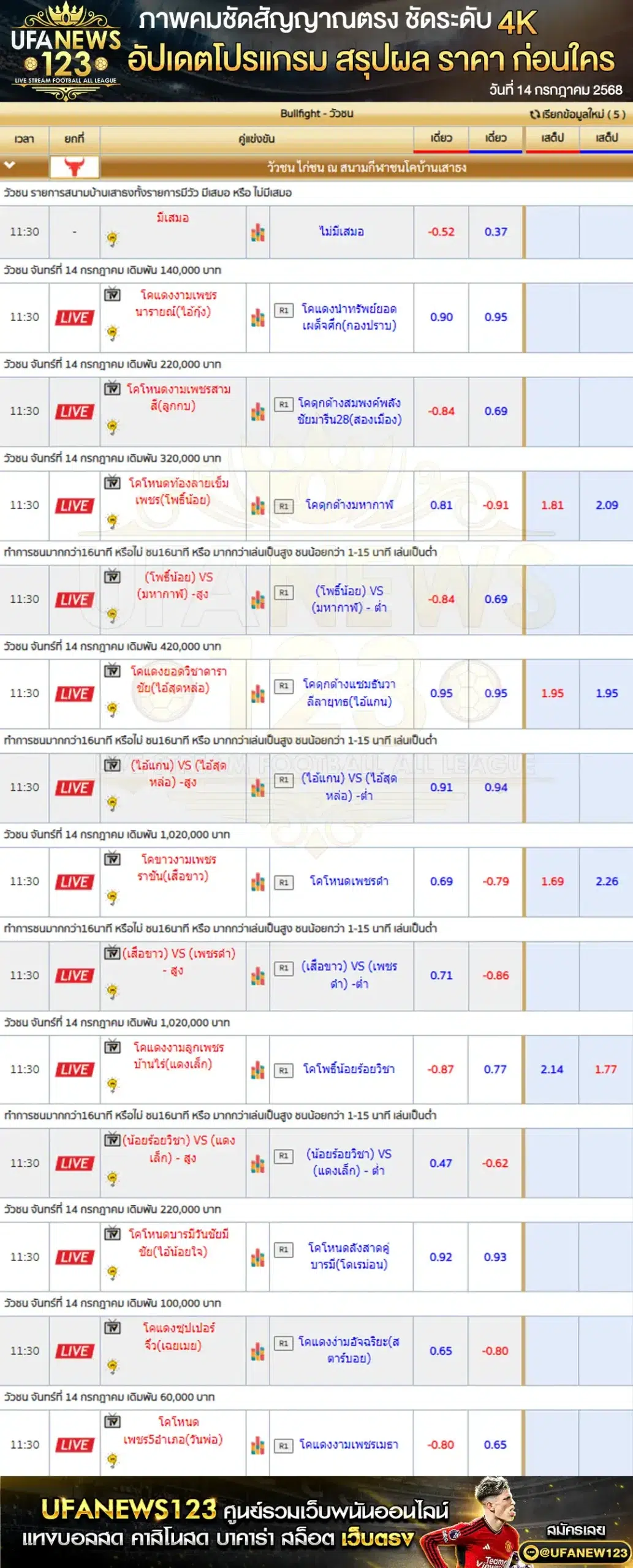 ราคาวัวชน สนามกีฬาชนโคบ้านเสาธงสเตเดี้ยม เริ่มเวลา 10:00 น. 14 กรกฎาคม 2568