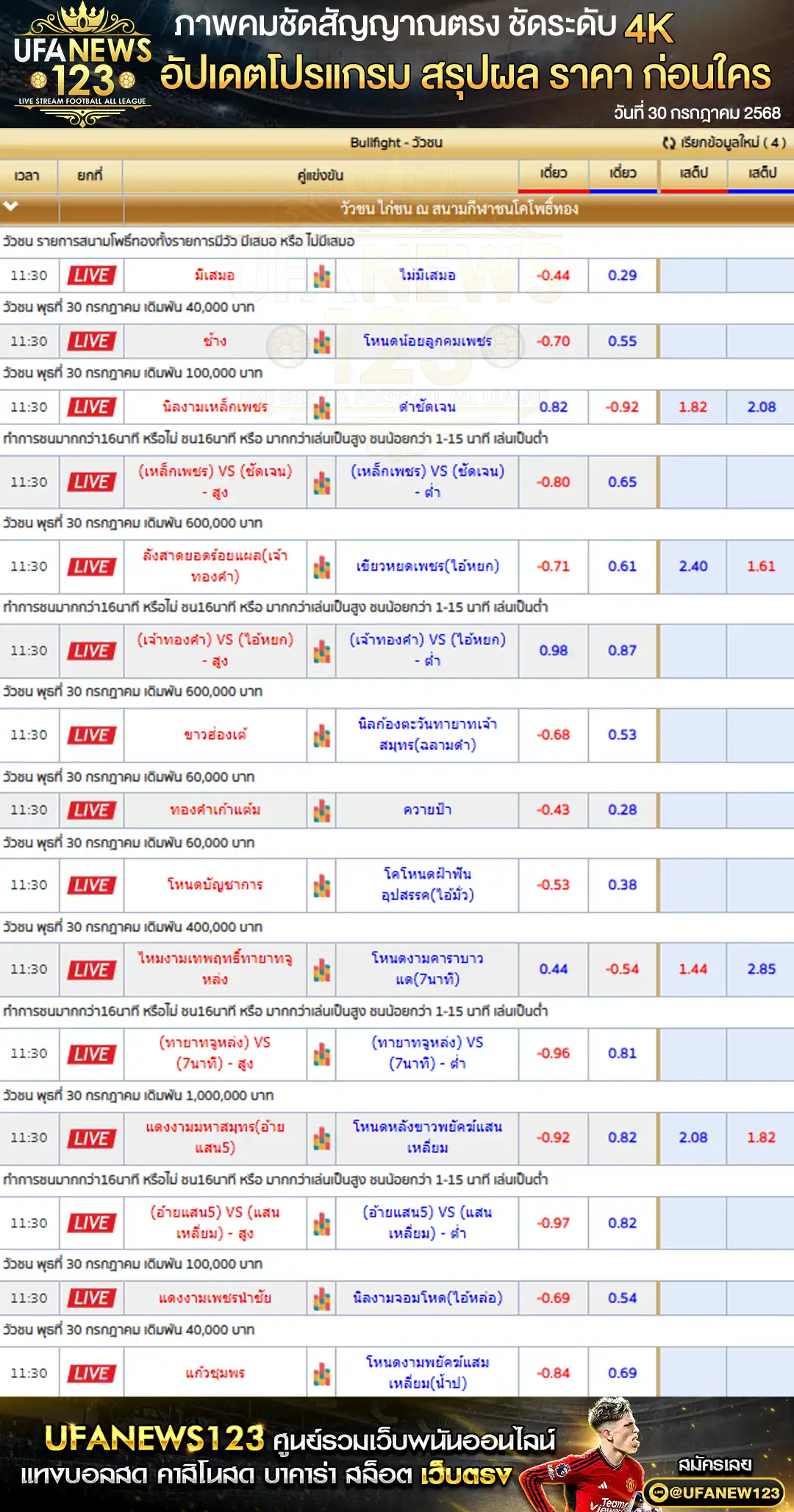 ราคาวัวชน สนามกีฬาชนโคโพธิ์ทอง แม่สอด เริ่มเวลา 10:30 น. 30 กรกฎาคม 2568