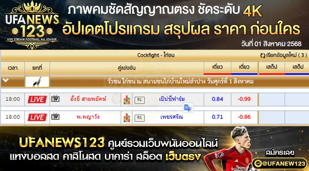 ราคาไก่ชน สนามชนไก่บ้านใหม่ลำปาง 01 สิงหาคม 2568