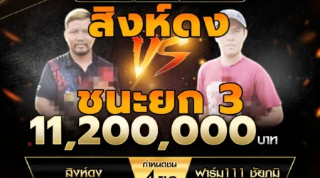 เทปไก่ชน สิงห์ดง VS ฟาร์ม 111 ชัยภูมิ 27 กรกฎาคม 2568