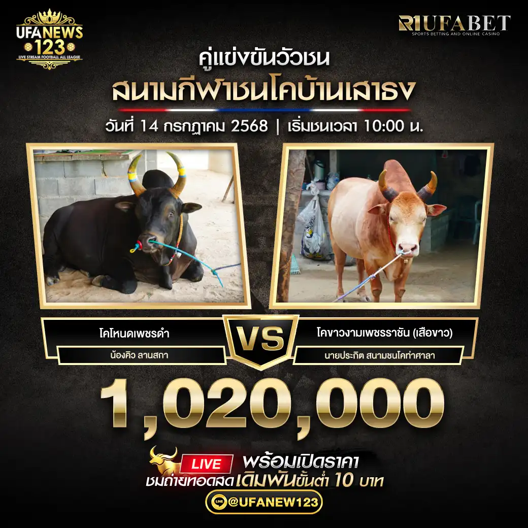 โคขาวงามเพชรราชัน(เสือขาว) VS โคโหนดเพชรดำ ชิงรางวัล 1,020,000 บาท 14 กรกฎาคม 2568
