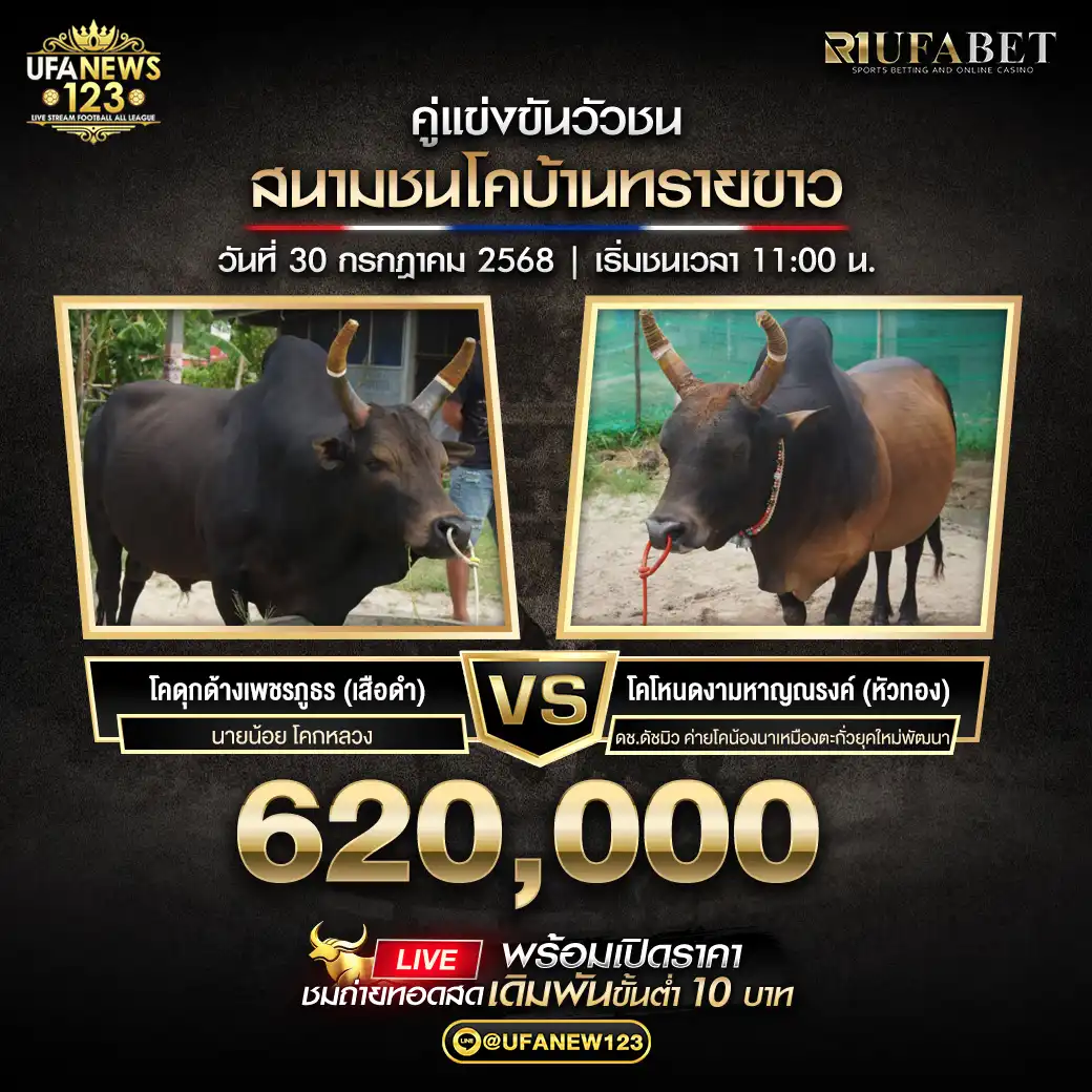 โคดุกด้างเพชรภูธร (เสือดำ) VS โคโหนดงามหาญณรงค์ (หัวทอง) ชิงรางวัล 620,000 บาท 30 กรกฎาคม 2568