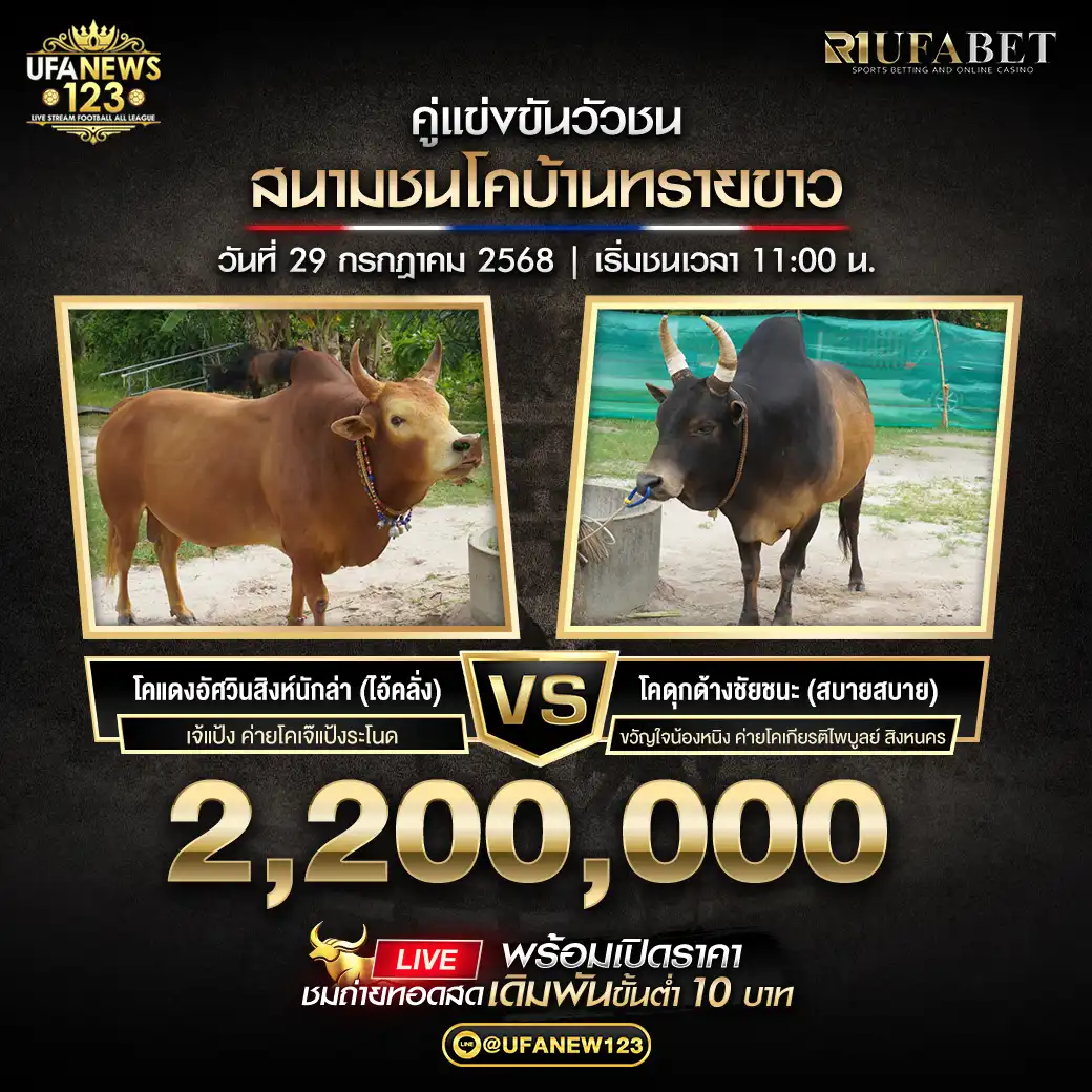 โคแดงอัศวินสิงห์นักล่า (ไอ้คลั่ง) VS โคดุกด้างชัยชนะ สบาย สบาย ชิงรางวัล 2,020,000 บาท 29 กรกฎาคม 2568