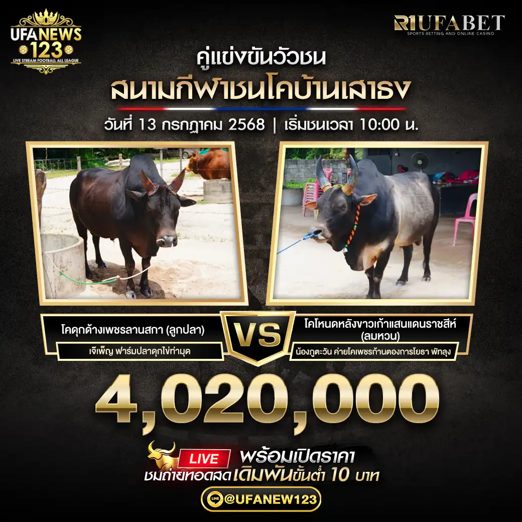 โคโหนดหลังขาวเก้าแสนแดนราชสีห์(ลมหวน) VS โคดุกด้างเพชรลานสกา(ลูกปลา) ชิงรางวัล 4,020,000 บาท 13 กรกฎาคม 2568