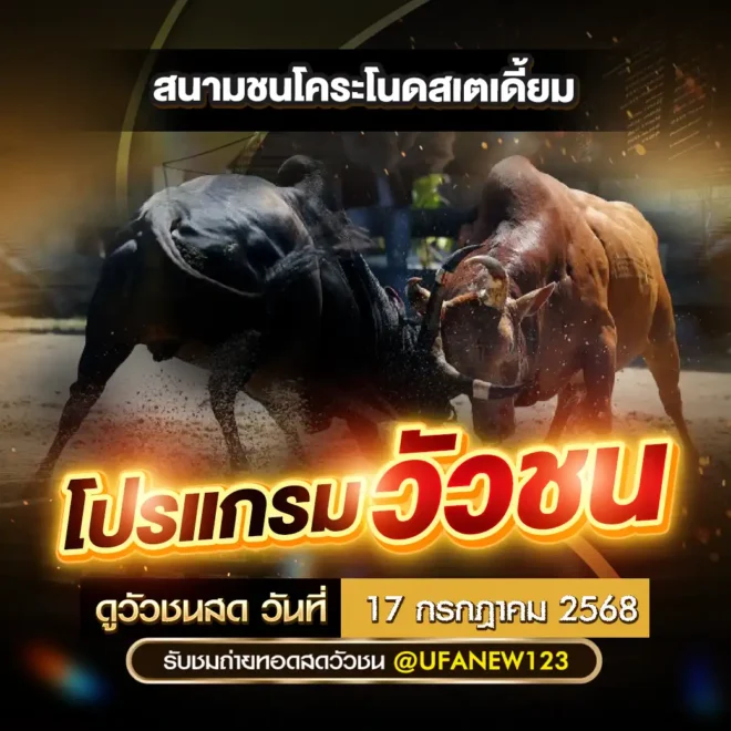 โปรแกรมวัวชน 17 กรกฎาคม 2568