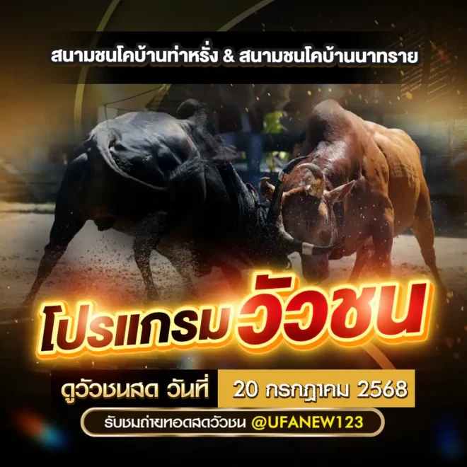 โปรแกรมวัวชน 20 กรกฎาคม 2568