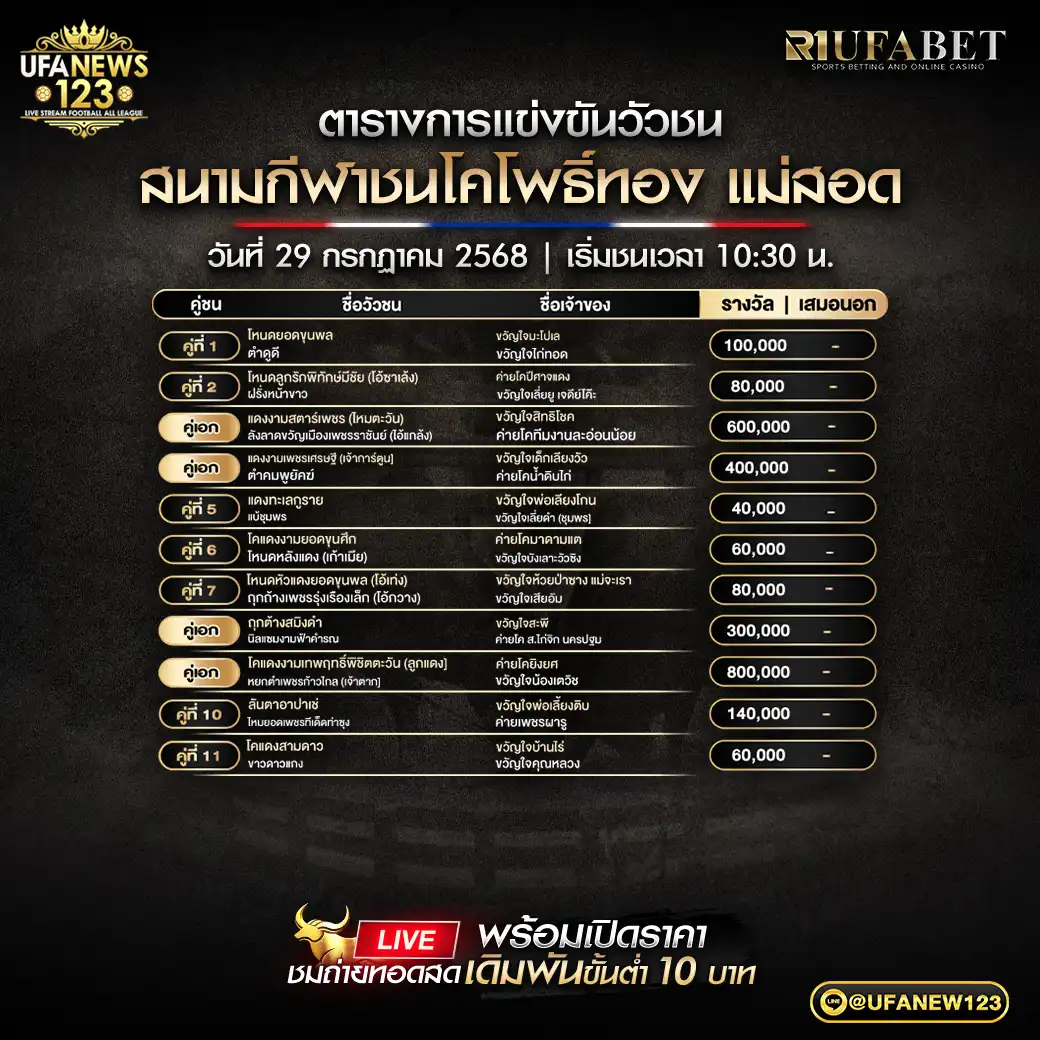 โปรแกรมวัวชน สนามกีฬาชนโคโพธิ์ทอง แม่สอด เริ่มเวลา 10:30 น. 29 กรกฎาคม 2568