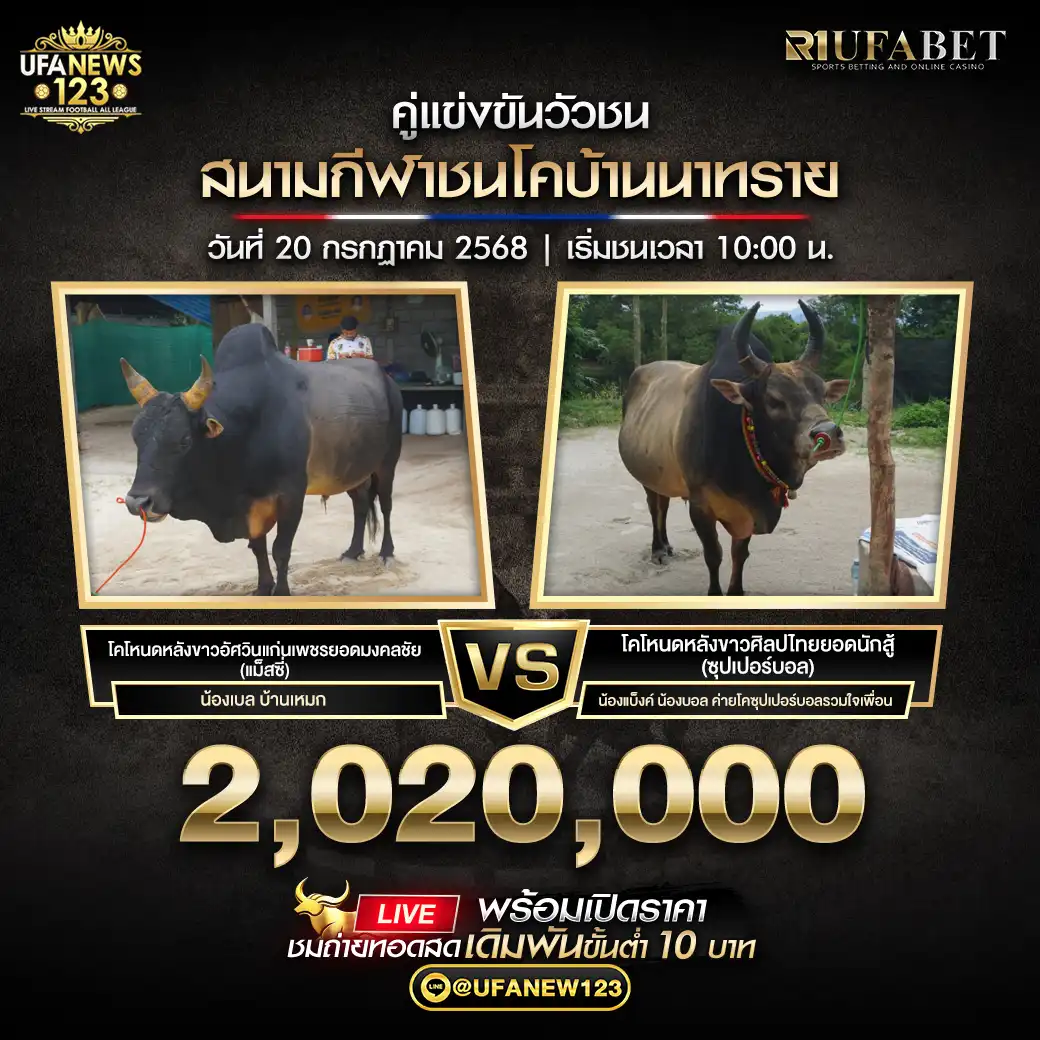 โคโหนดหลังขาวอัศวินแก่นเพชรยอดมงคลชัย (แมลซี) VS โคโหนดหลังขาวศิลปไทยยอดนักสู้ (ซุปเปอร์บอล) ชิงรางวัล 2,020,000 บาท 20 กรกฎาคม 2568