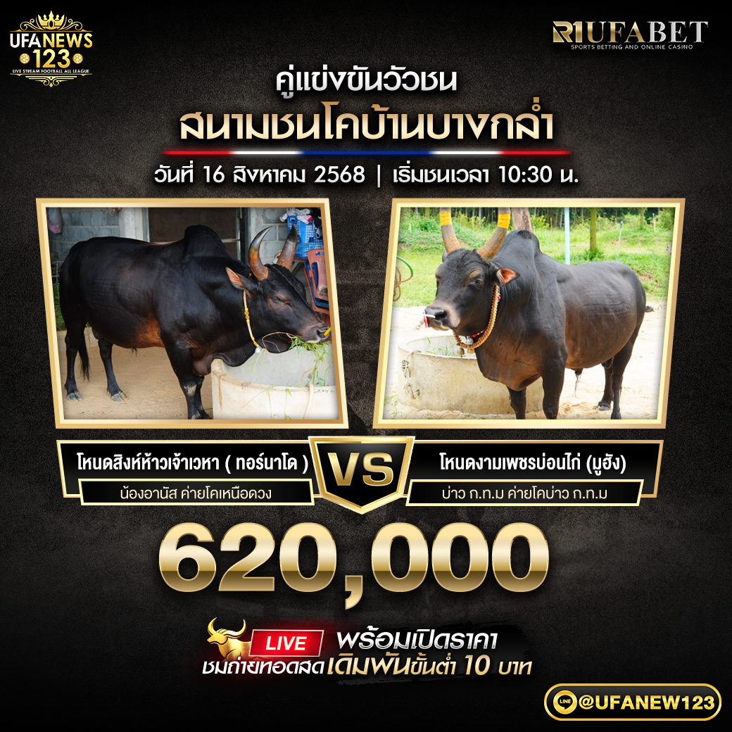 โคโหนดสิงห์ห้าวเจ้าเวหา (ทอร์นาโด) VS โคโหนดงามเพชรบ่อนไก่ (มูฮัง) ชิงรางวัล 620,000 บาท 16 สิงหาคม 2568
