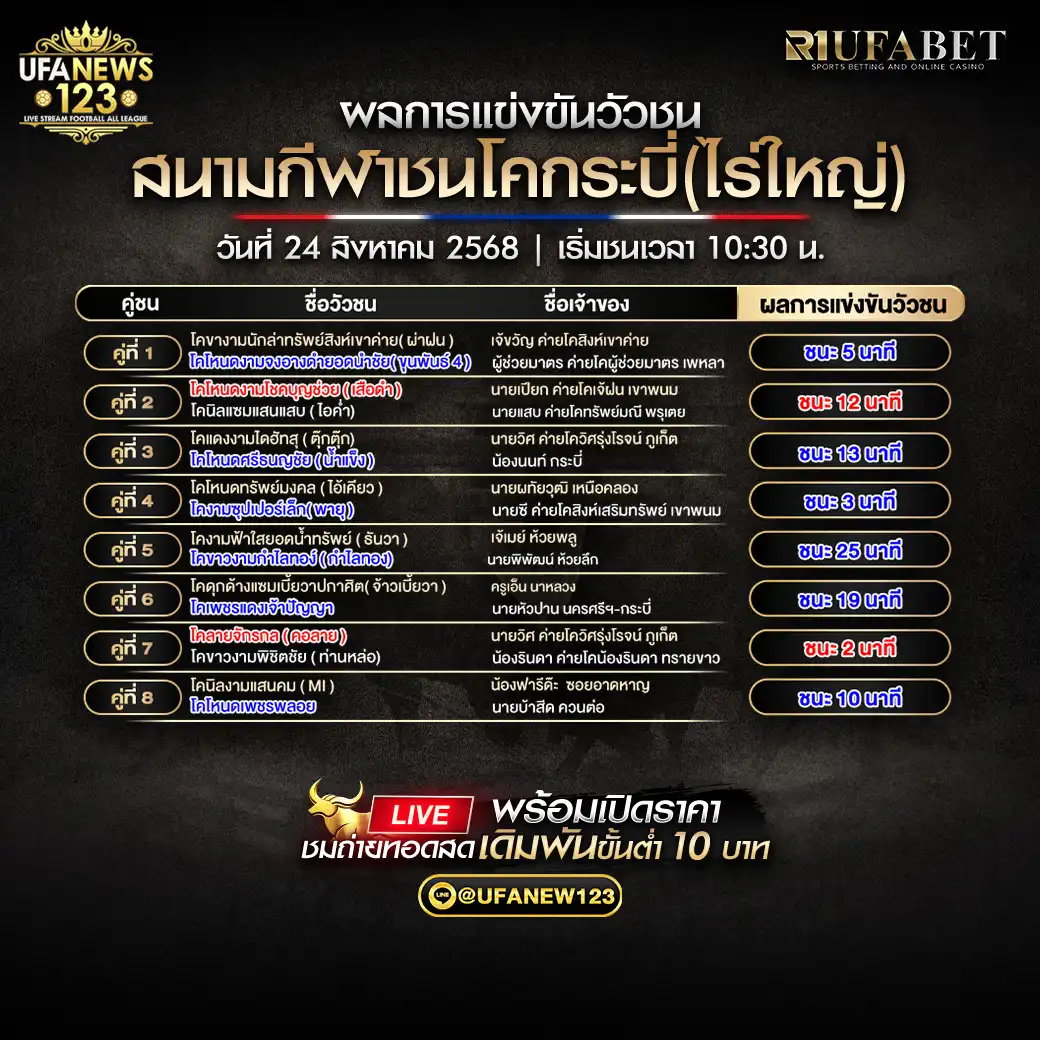 สรุปผลวัวชนประจำวันที่ 24 สิงหาคม 2568 | สนามกีฬาชนโคกระบี่ (ไร่ใหญ่)