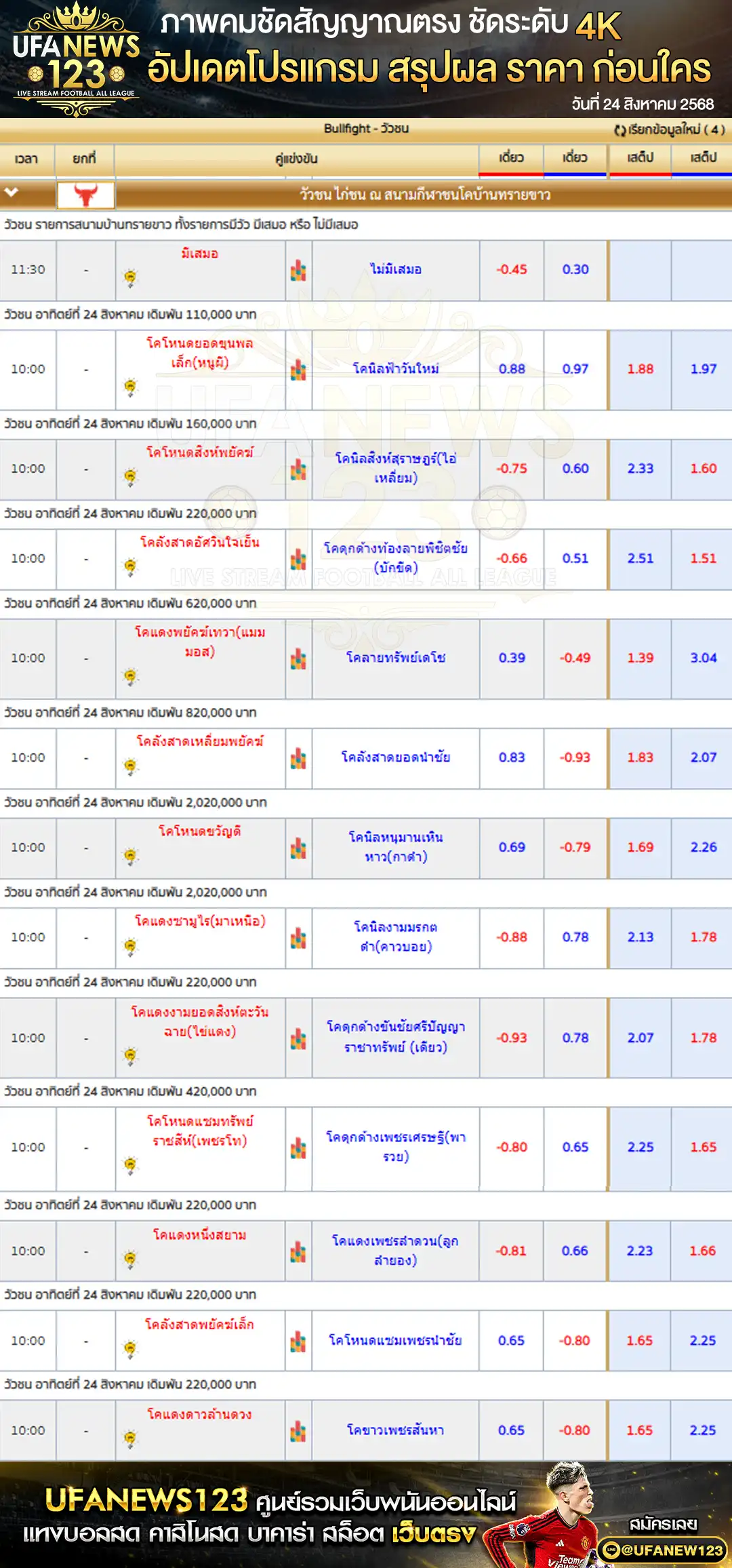ตารางราคาวัวชนประจำวันที่ 24 สิงหาคม 2568 | สนามกีฬาชนโคบ้านทรายขาว เริ่มเวลา 10:00 น.