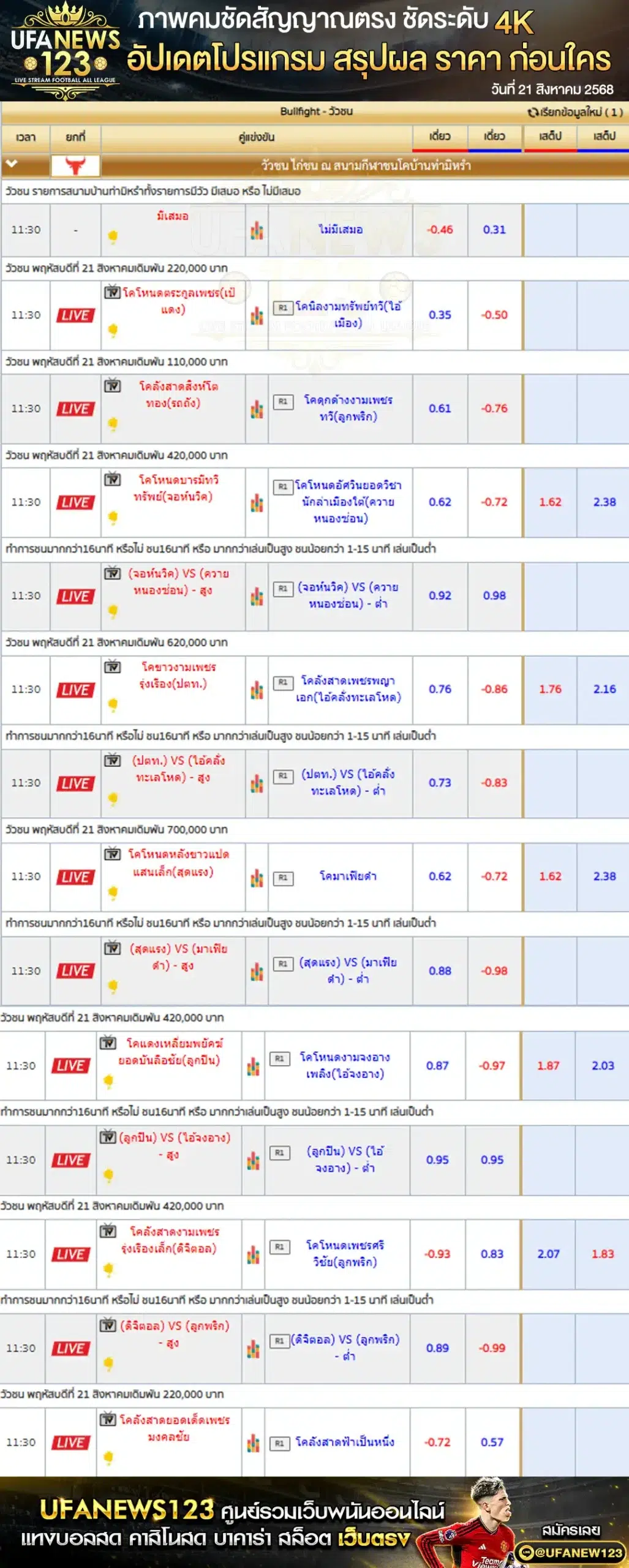 ตารางราคาวัวชนประจำวันที่ 21 สิงหาคม 2568 | สนามกีฬาชนโคบ้านท่ามิหรำ (เริ่มเวลา 10:30 น.)