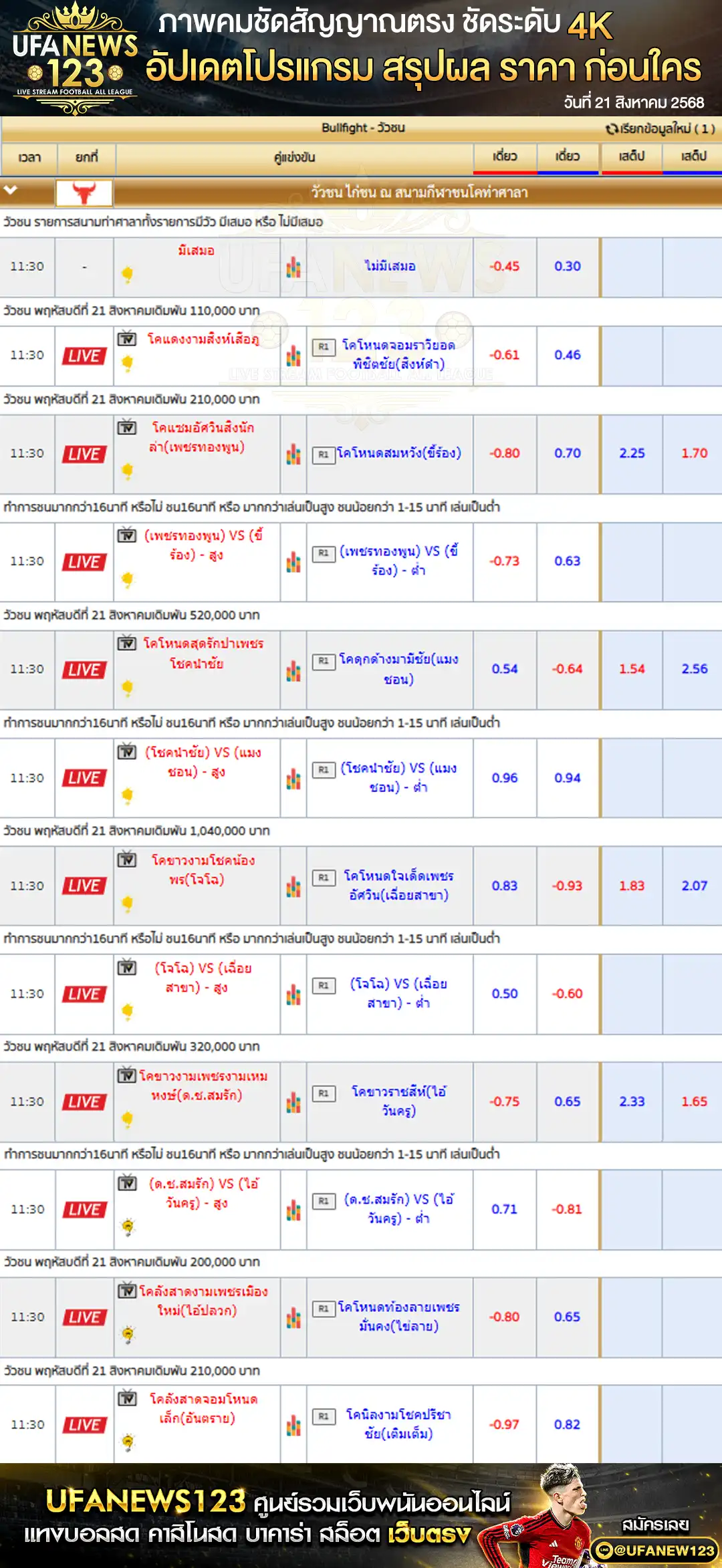 ตารางราคาวัวชนประจำวันที่ 21 สิงหาคม 2568 | สนามกีฬาชนโคบ้านท่าศาลา (เริ่มเวลา 10:00 น.)