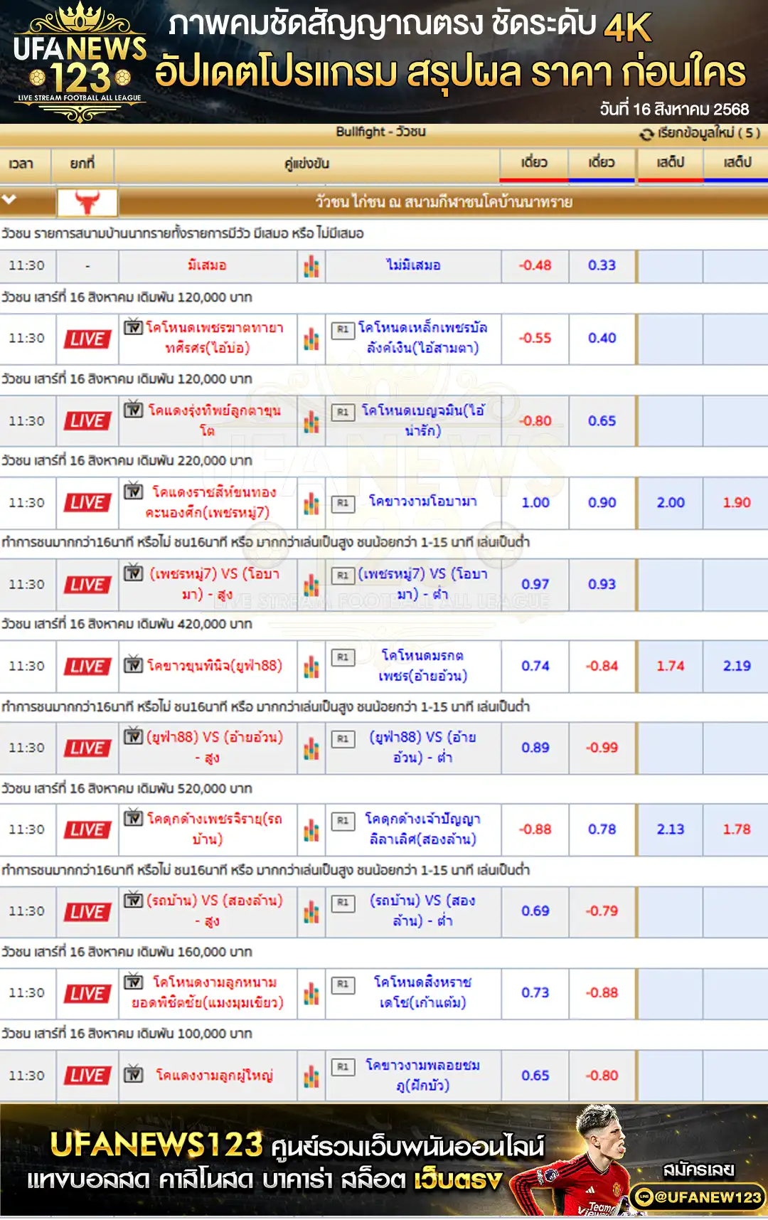 ตารางราคาวัวชนประจำวันที่ 16 สิงหาคม 2568 |สนามกีฬาชนโคบ้านนาทราย เริ่มเวลา 10:30 น. 