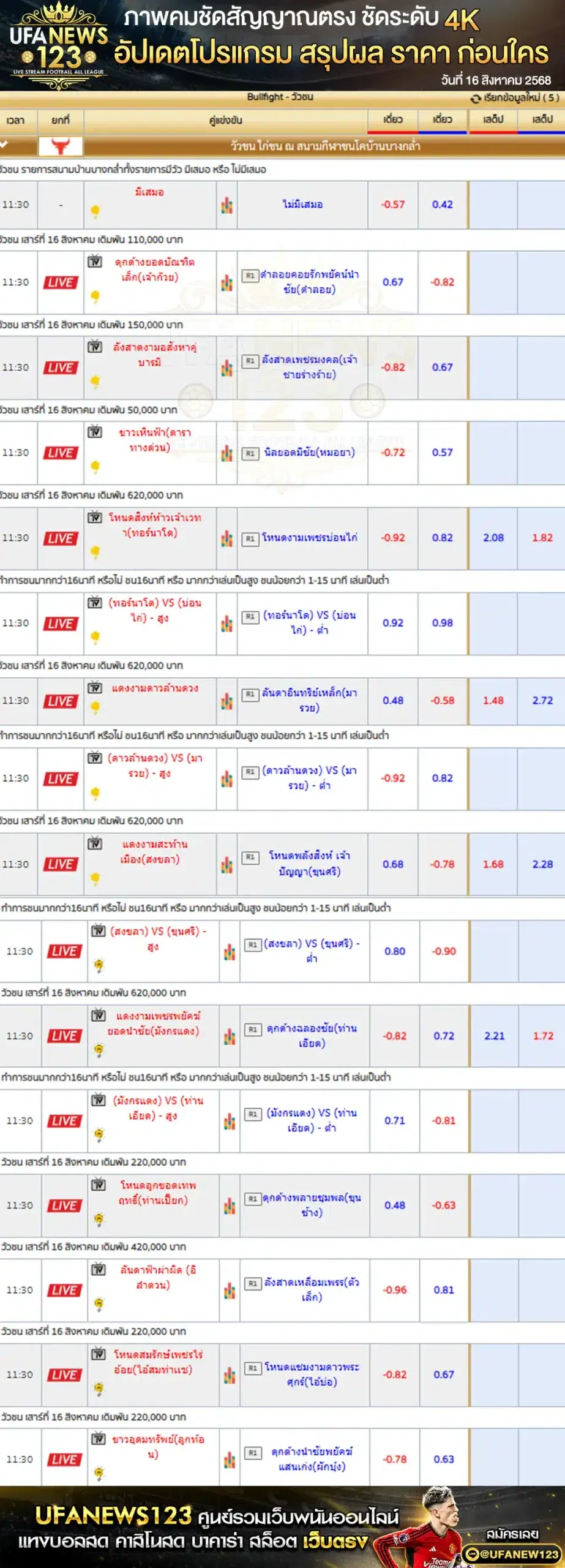 ตารางราคาวัวชนประจำวันที่ 16 สิงหาคม 2568 | สนามกีฬาชนโคบ้านบางกล่ำ เริ่มเวลา 10:30 น.