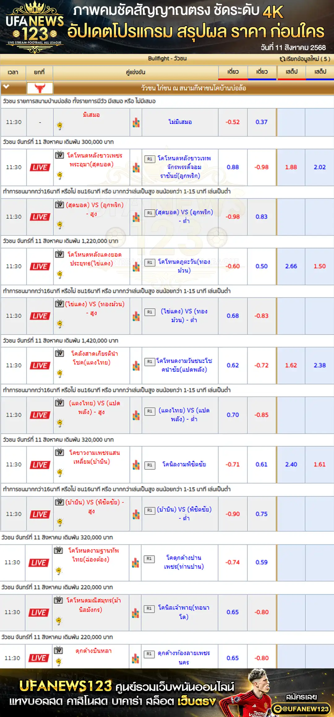 ตารางราคาวัวชนประจำวันที่ 11 สิงหาคม 2568 | สนามกีฬาชนโคบ้านบ่อล้อ เริ่มเวลา 10:00 น.