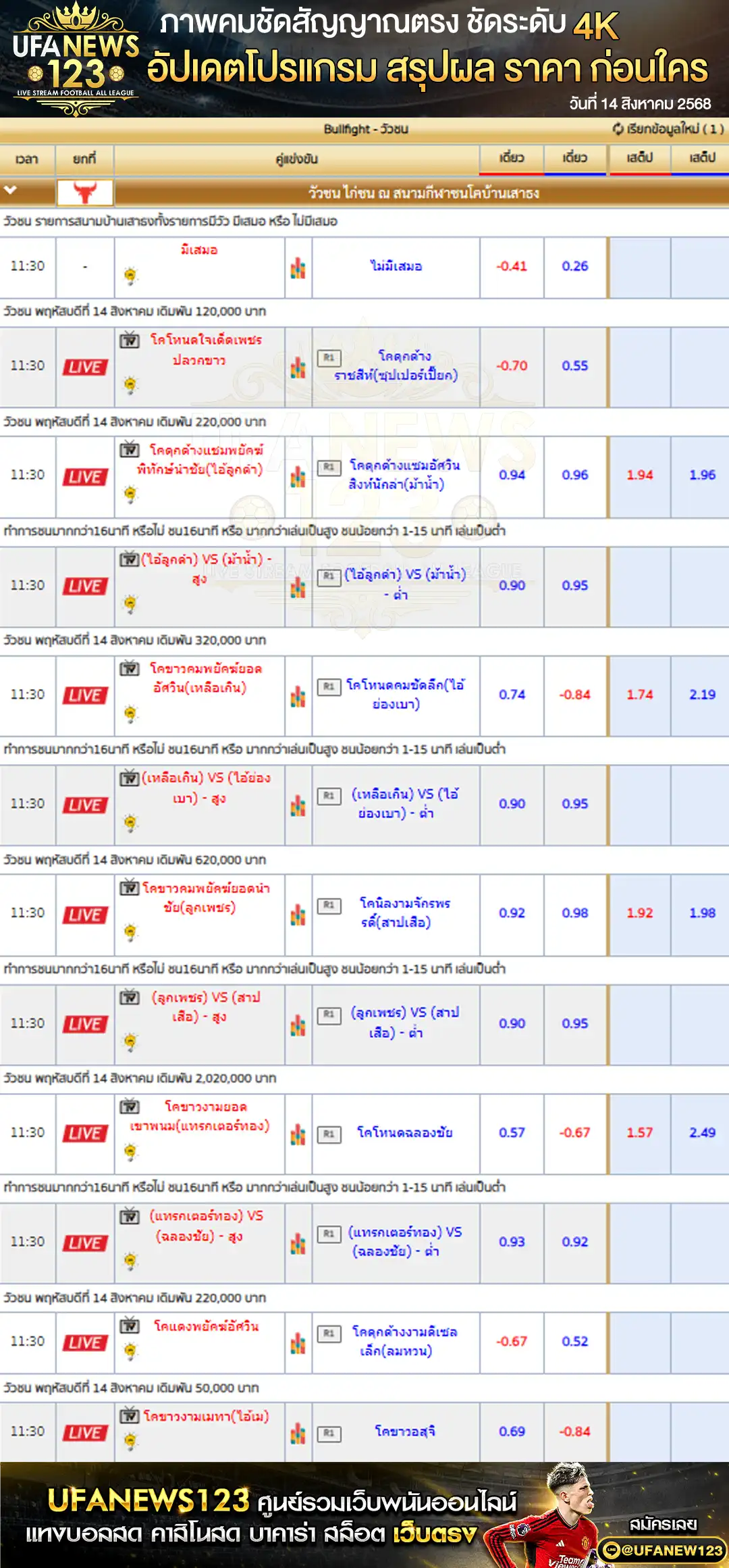 ตารางราคาวัวชนประจำวันที่ 14 สิงหาคม 2568 | สนามชนโคบ้านเสาธงสเตเดี้ยม เริ่มเวลา 10:30 น.