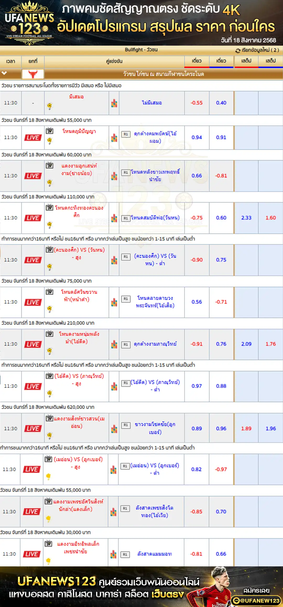 ราคาวัวชน สนามชนโคระโนดสเตเดี้ยม 18 สิงหาคม 2568