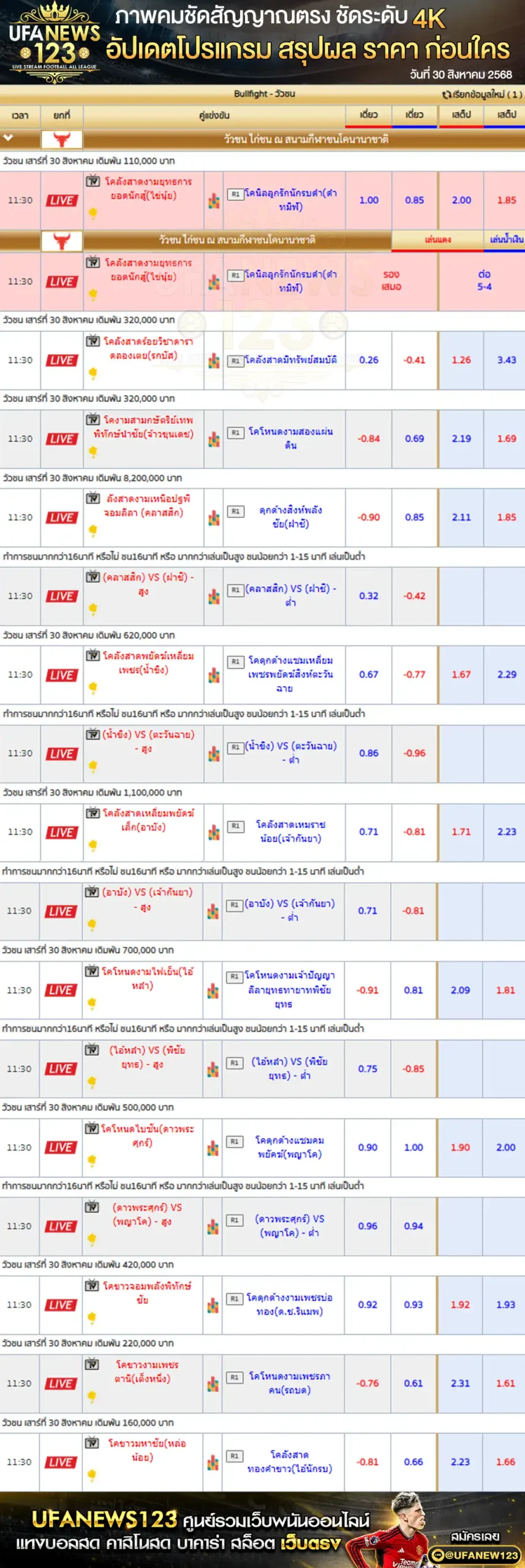 ตารางราคาวัวชนประจำวันที่ 30 สิงหาคม 2568 | สนามชนโคนานาชาติ เริ่มเวลา 11:30 น.