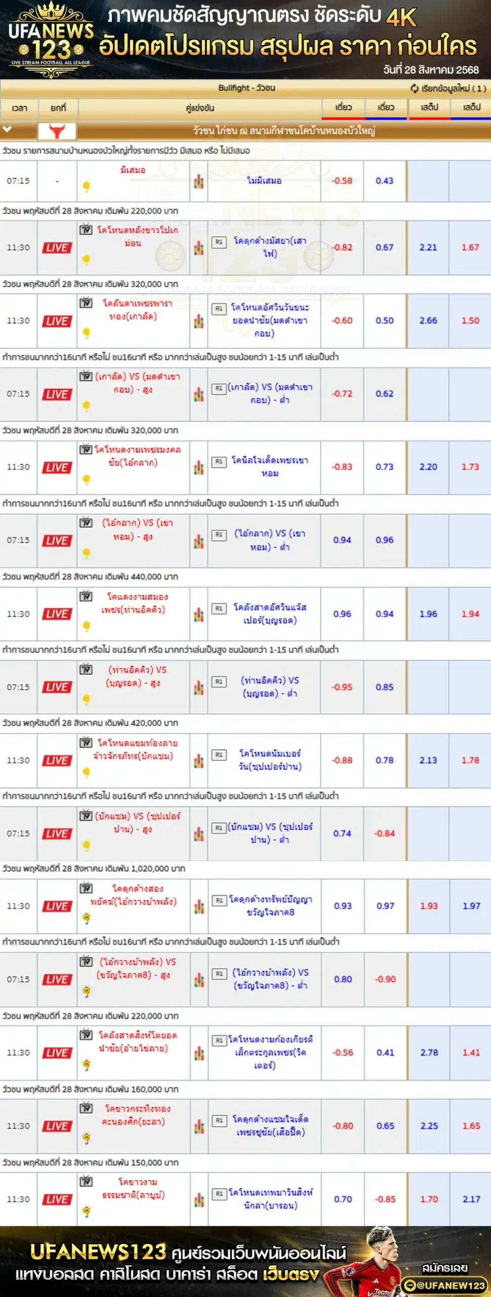 ตารางราคาวัวชนประจำวันที่ 28 สิงหาคม 2568 | สนามกีฬาชนโคบ้านหนองบัวใหญ่ เริ่มเวลา 10:00 น.